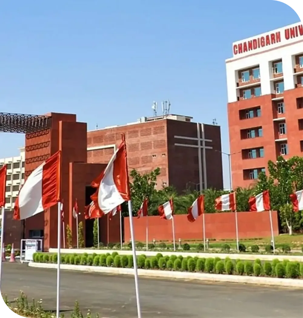 Chandigarh University Online